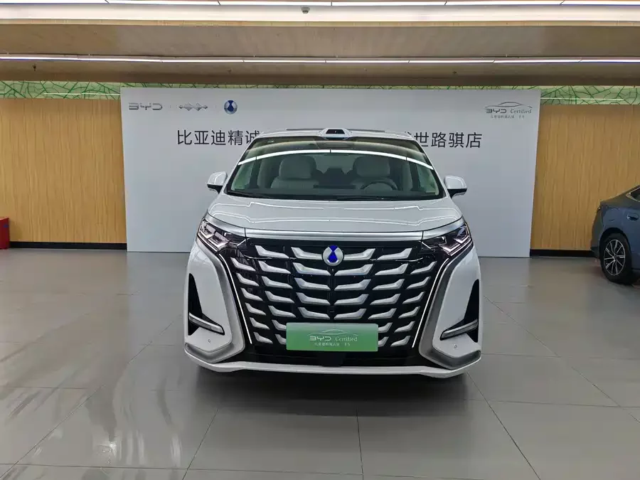 BYD D9