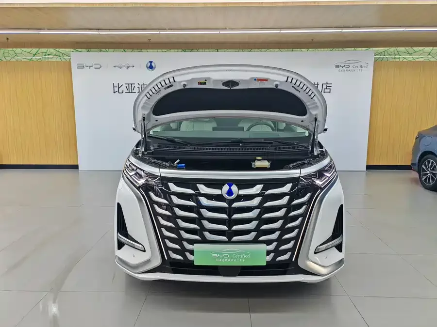BYD D9