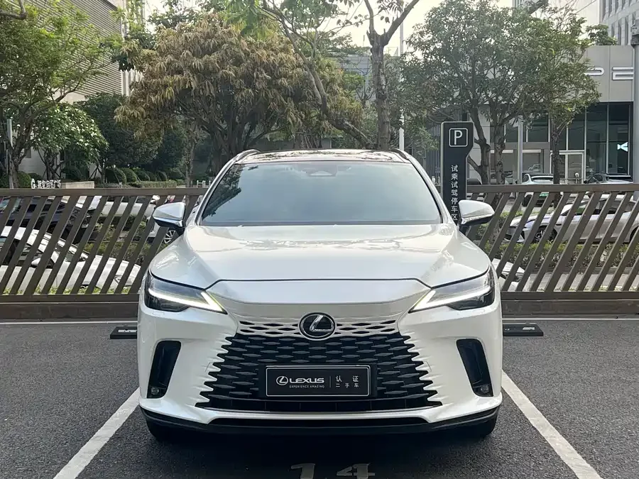 Lexus RX New Energy