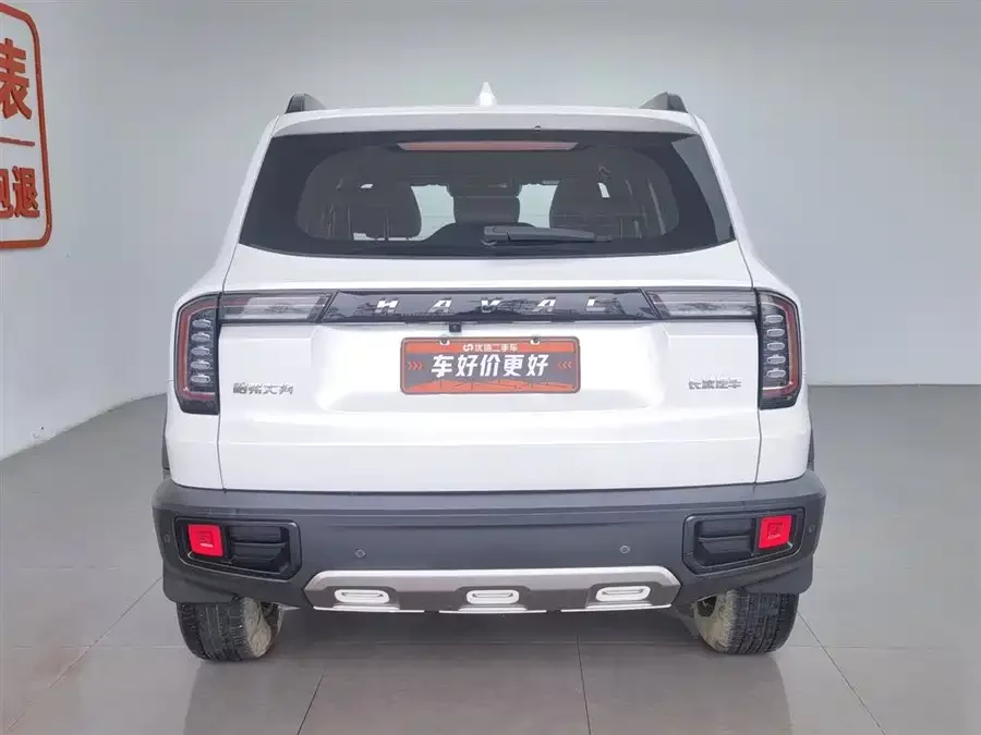 Haval Big Dog DaGou