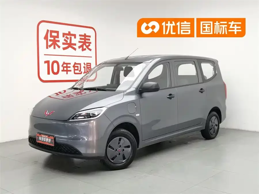 Wuling Hongguang New Energy