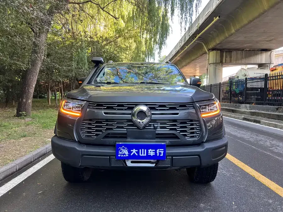 Great Wall gun