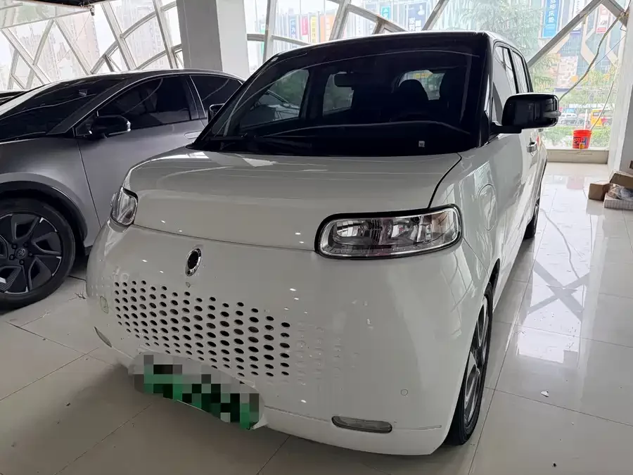 ORA White cat