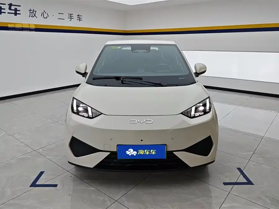 BYD Seagull