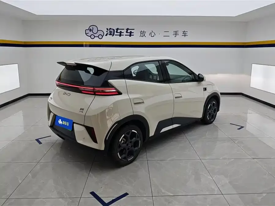 BYD Seagull