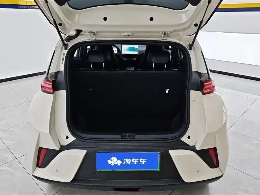 BYD Seagull