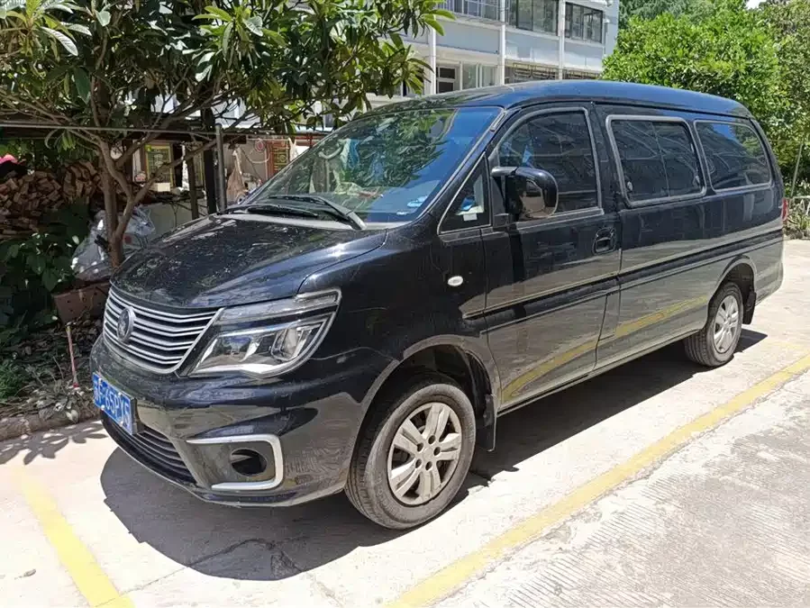 Dongfeng Lingzhi