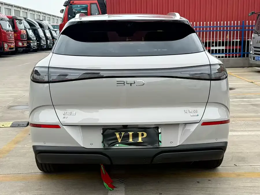 BYD Hiace 06