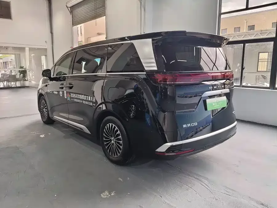 BYD D9