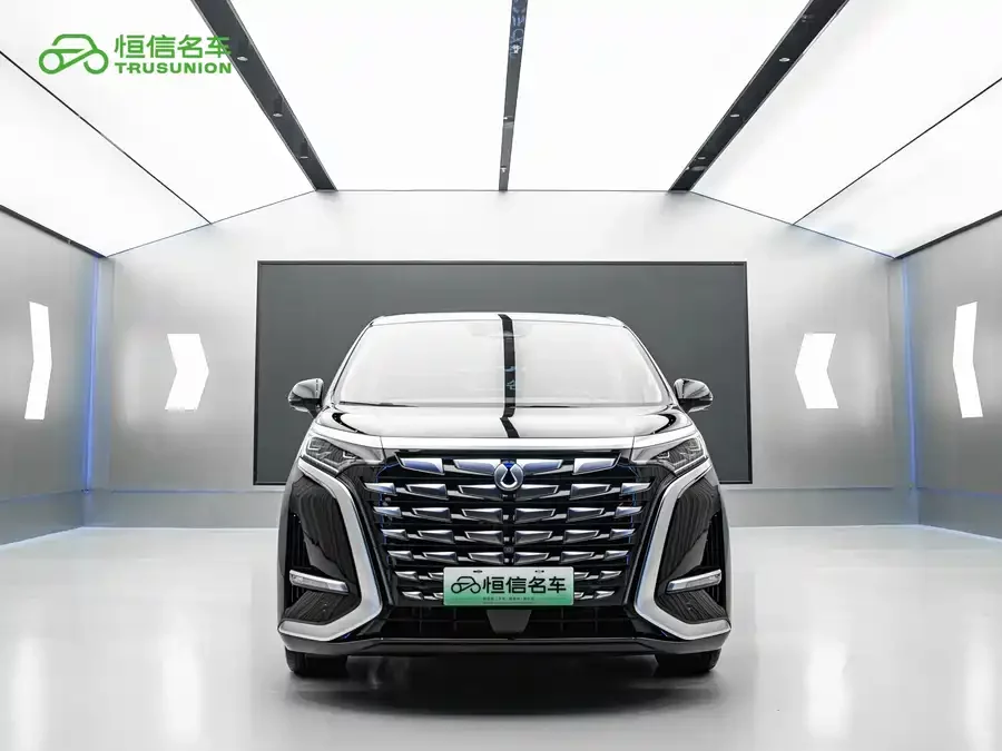 BYD D9