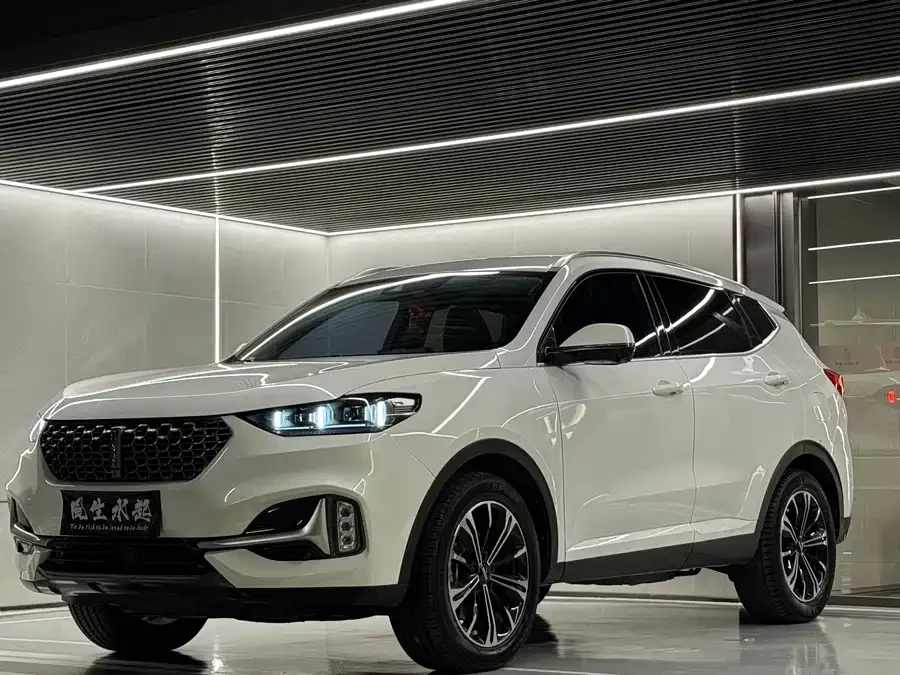 Wey VV6