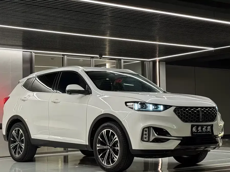 Wey VV6