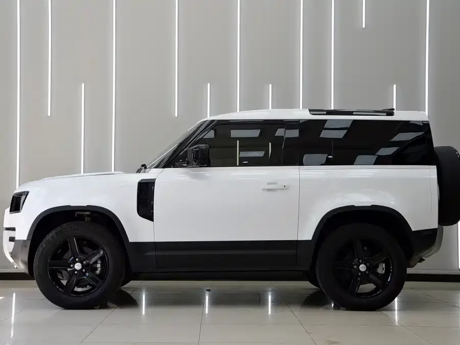 Land Rover guard