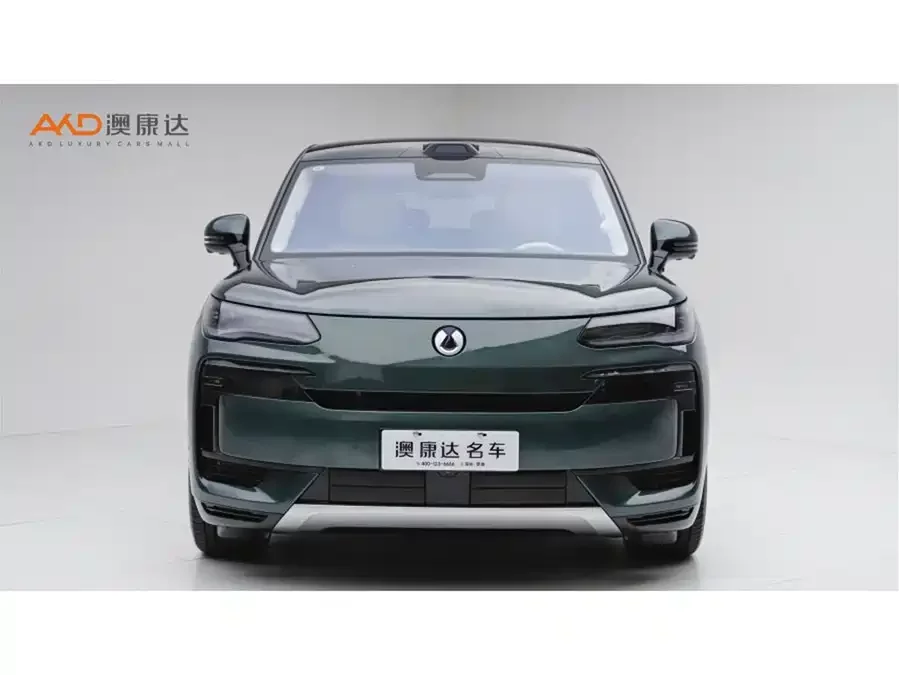 BYD N9
