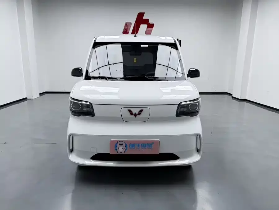 Wuling Zhiguang New Energy