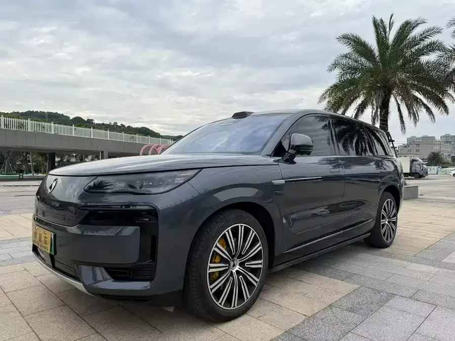 BYD N9