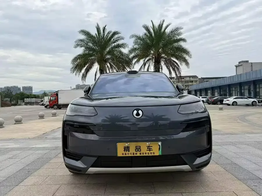 BYD N9