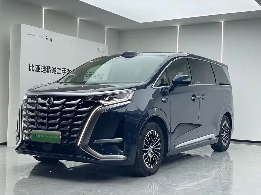 BYD D9