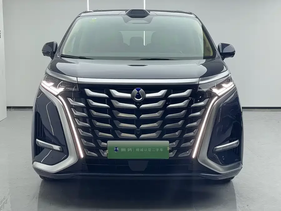 BYD D9