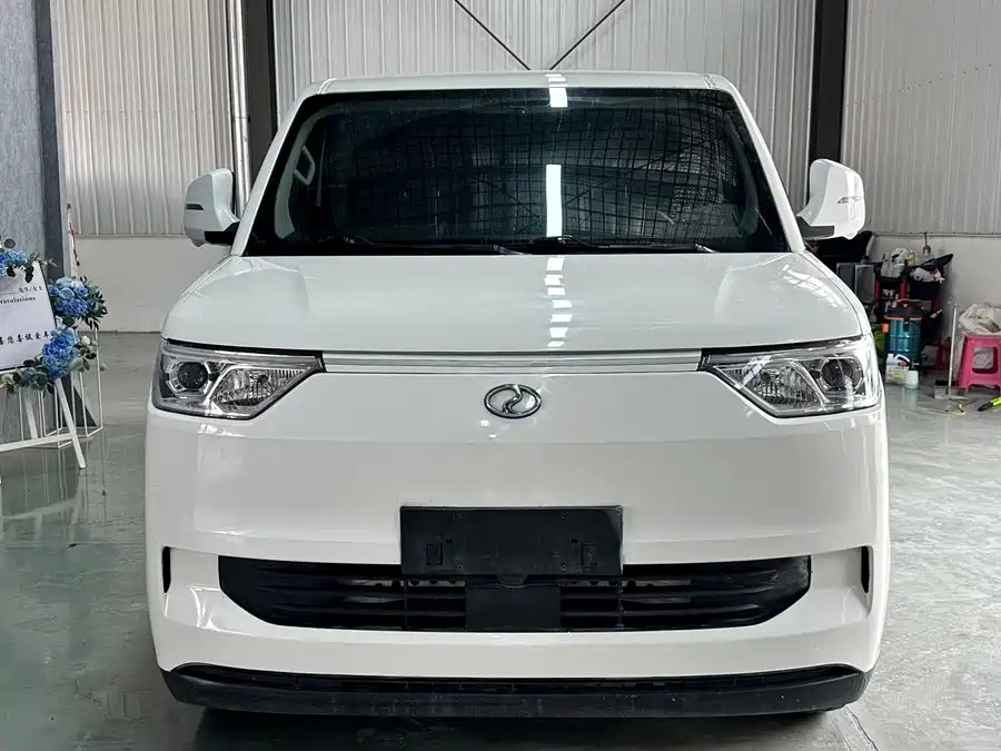 Rich Cars Rich New Energy EC75