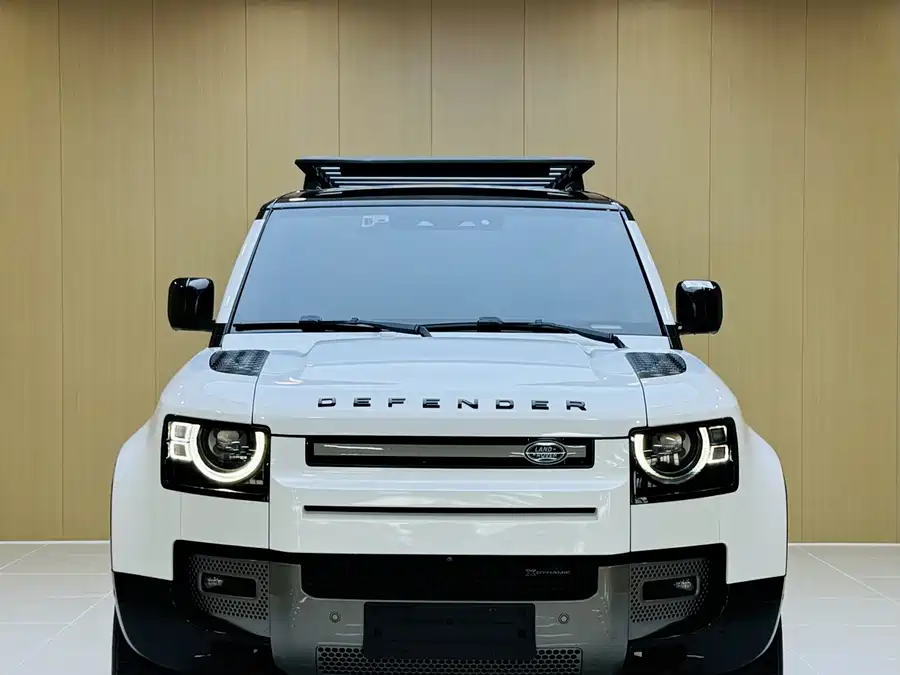 Land Rover guard