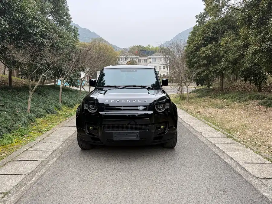 Land Rover guard