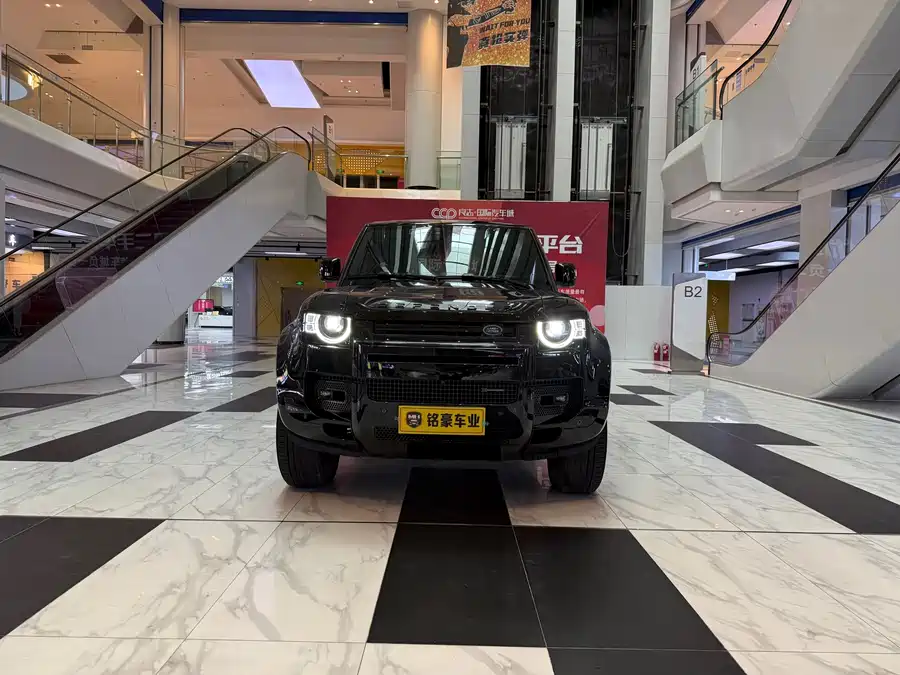 Land Rover guard
