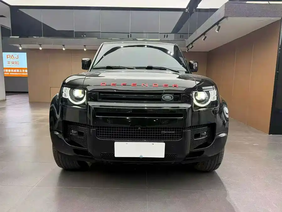 Land Rover guard