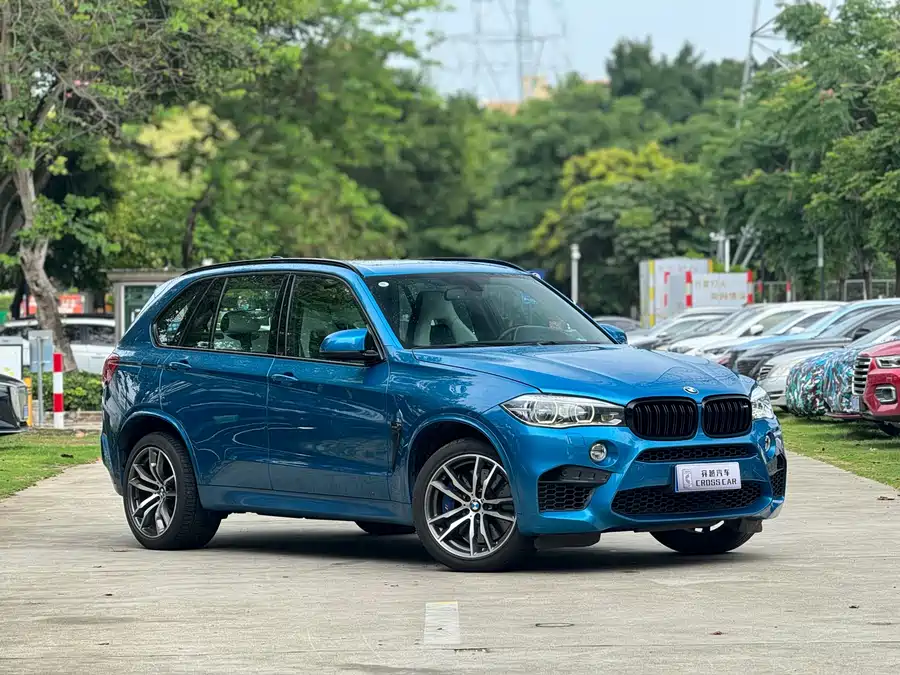 BMW X5M
