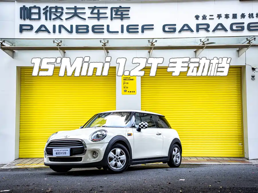 MINI 
