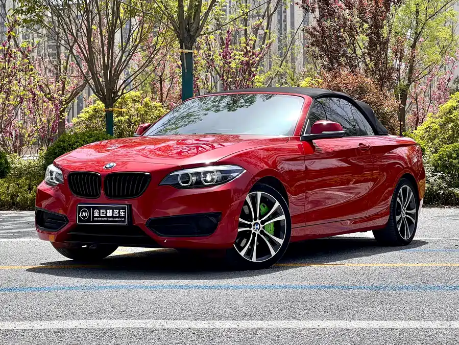 BMW 2 Series