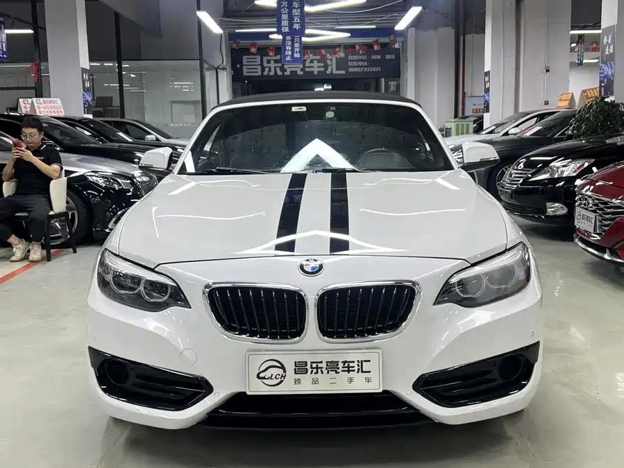 BMW 2 Series