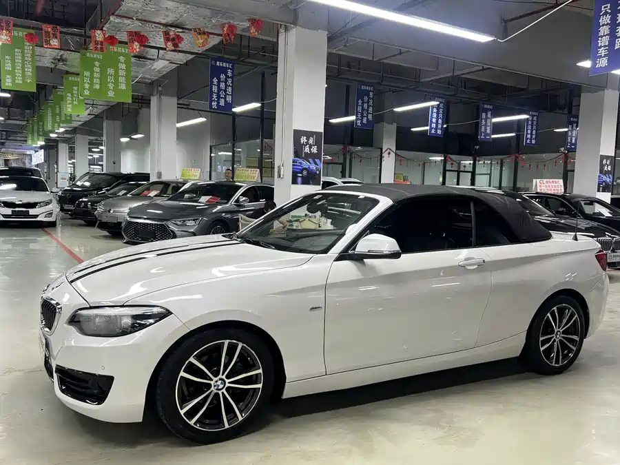 BMW 2 Series