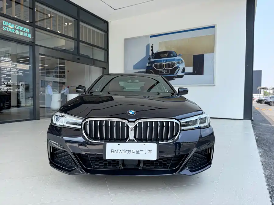 BMW 5 Series New Energy