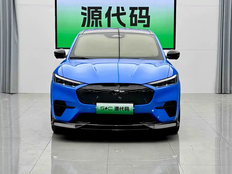 Ford electric horse