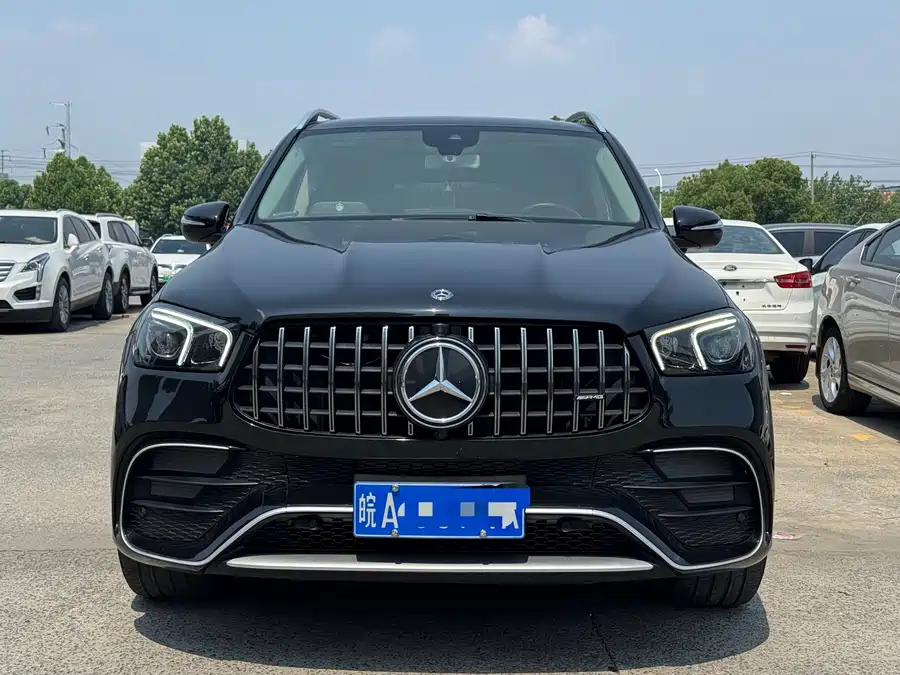 Mercedes Benz GLE (Imported)