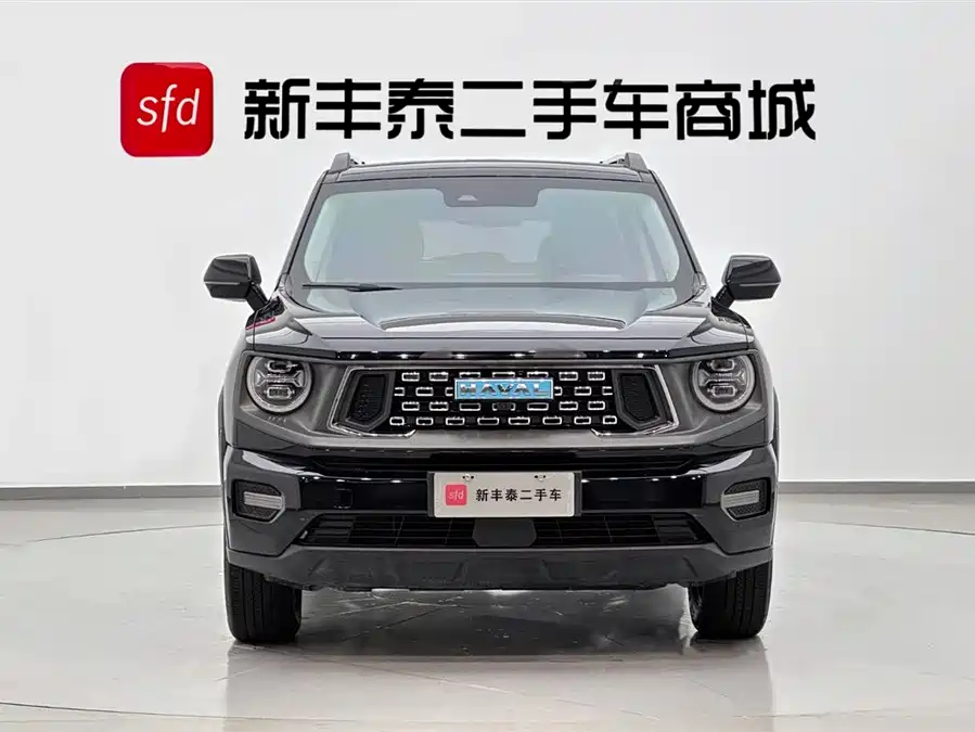Haval Big Dog PLUS New Energy