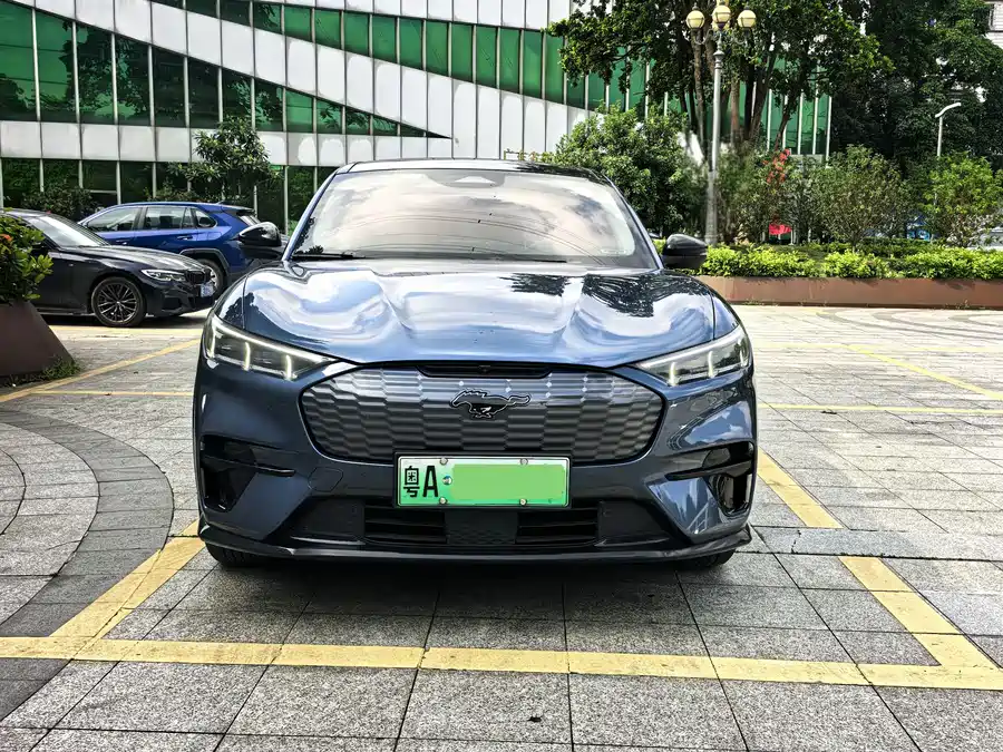 Ford electric horse