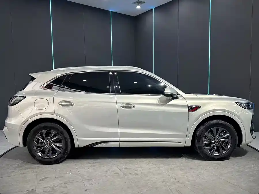 Hongqi HS5