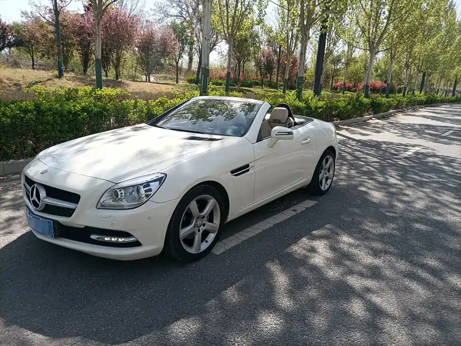 Mercedes Benz SLK-Class