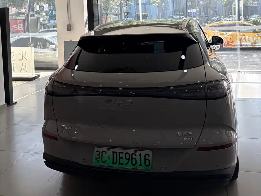 BYD Hiace 06