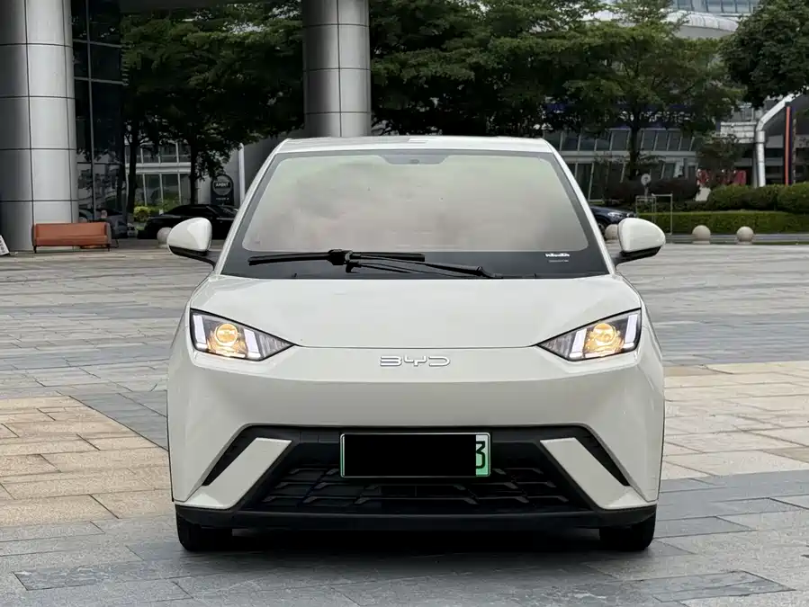 BYD Seagull