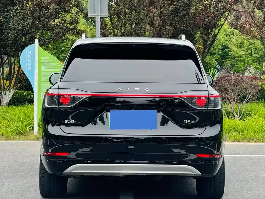 AITO Wenjie M9