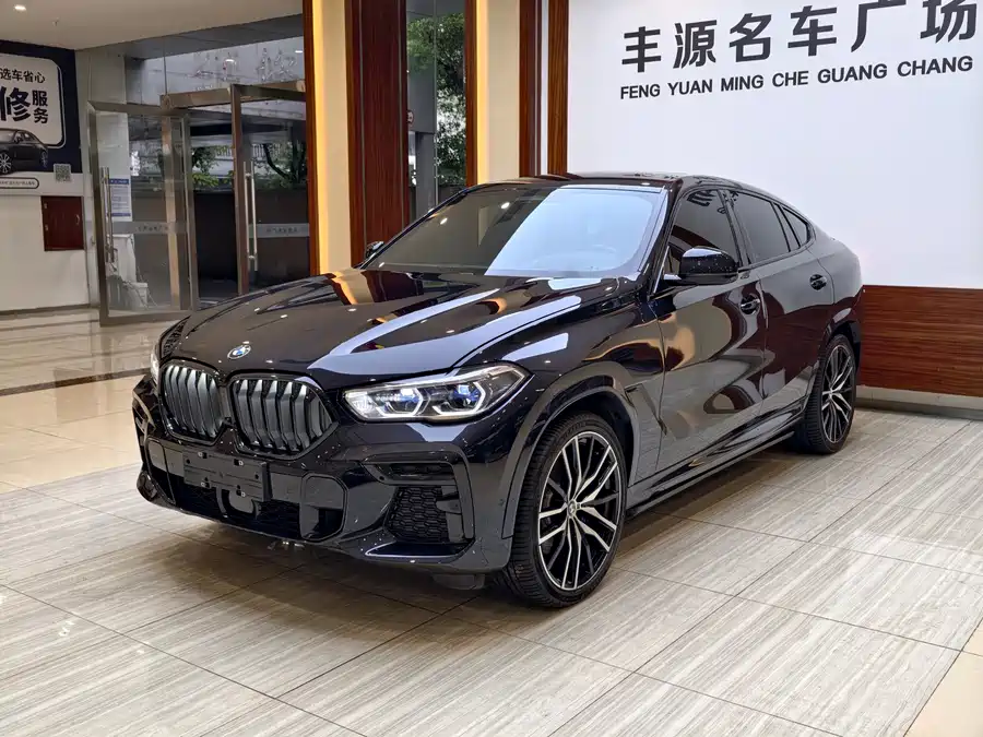 BMW X6