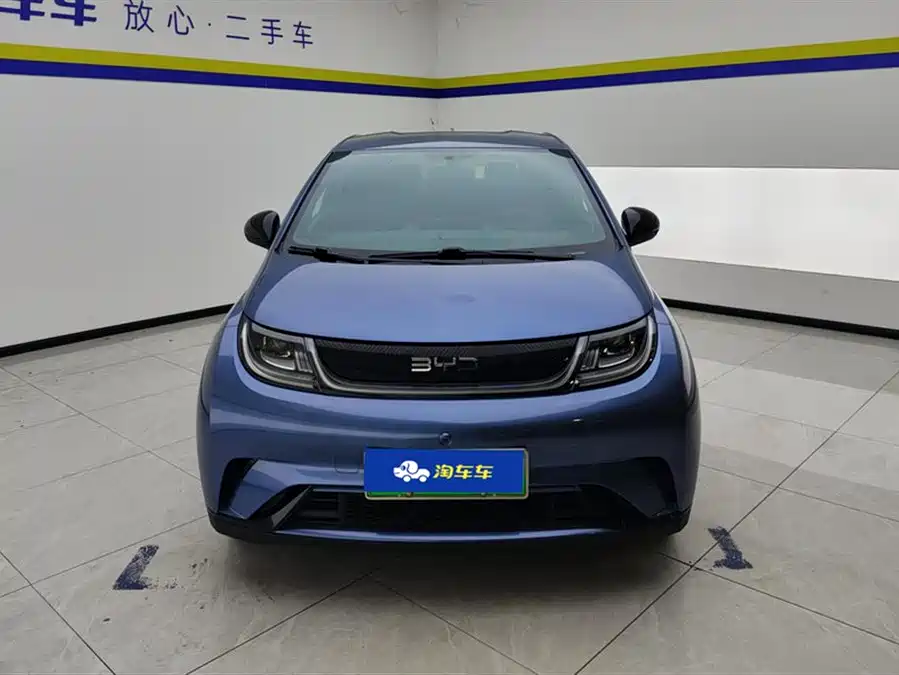 BYD Dolphin
