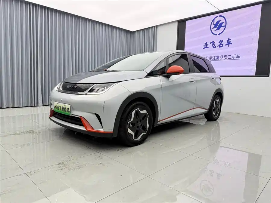BYD Dolphin