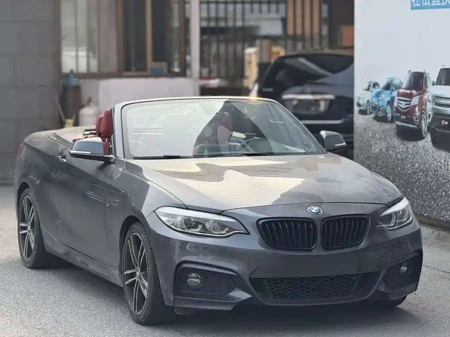 BMW 2 Series