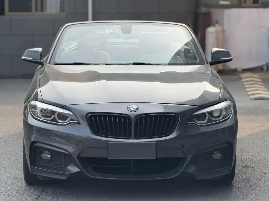 BMW 2 Series
