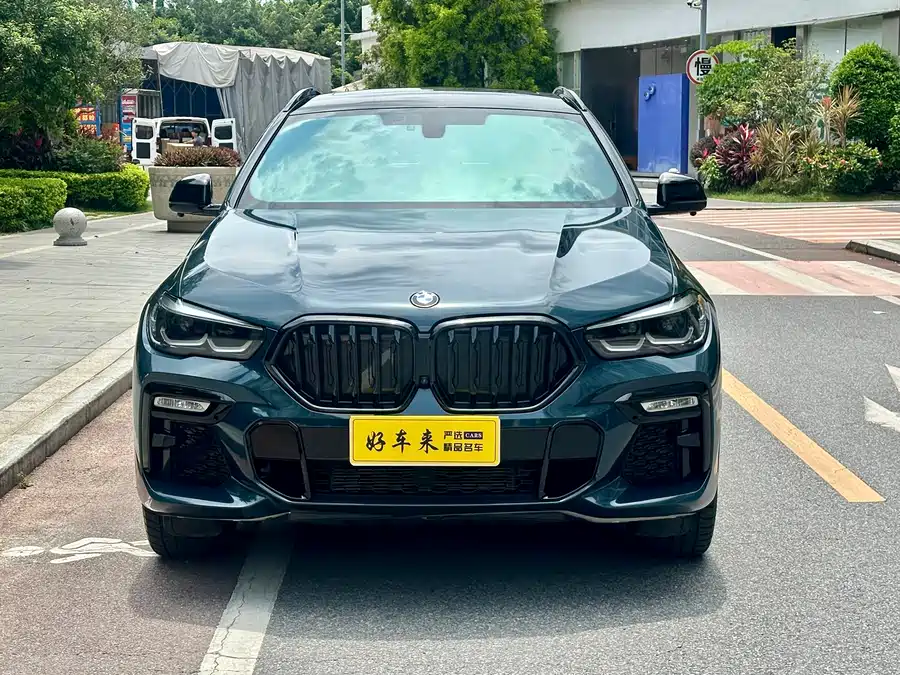 BMW X6