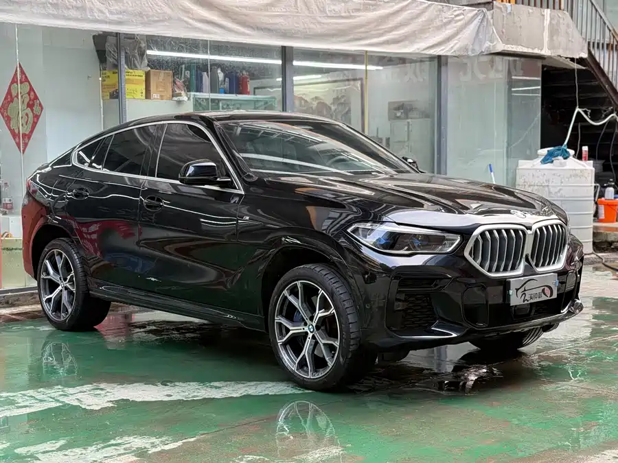 BMW X6
